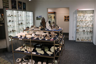 Schweizer Mineralien und Gesteine