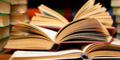 Bücher Bücher
