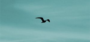 Leichtigkeit - Freiheit - Unabhängigkeit Leichtigkeit - Freiheit - Unabhängigkeit